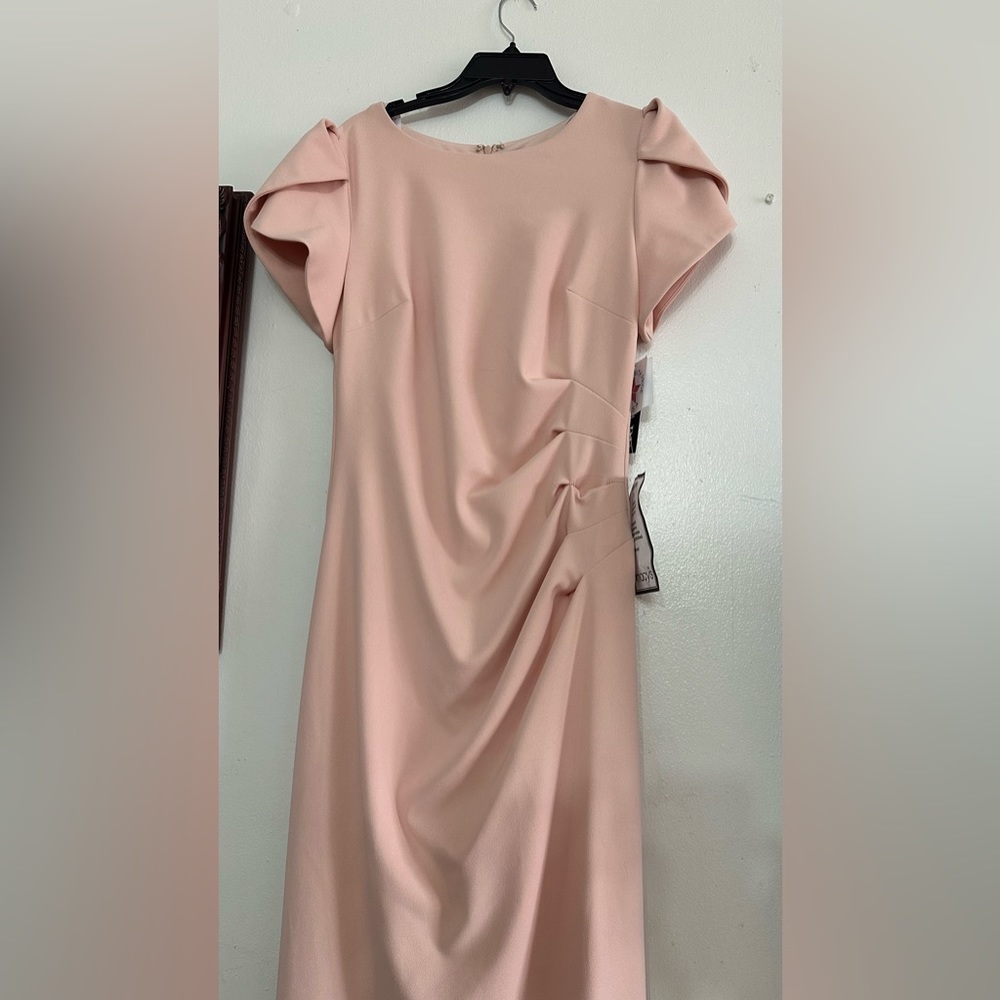 Women Macy’s xscape blush dress size 12 with tags